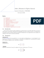 Matrices Invertibles y Elementos de Álgebra Matricial