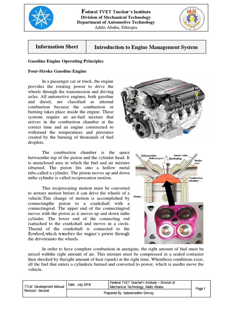 Engine Management System Overview | PDF | Diesel Engine | Carburetor