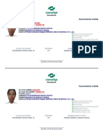 Formato de Documentación Recibida PDF