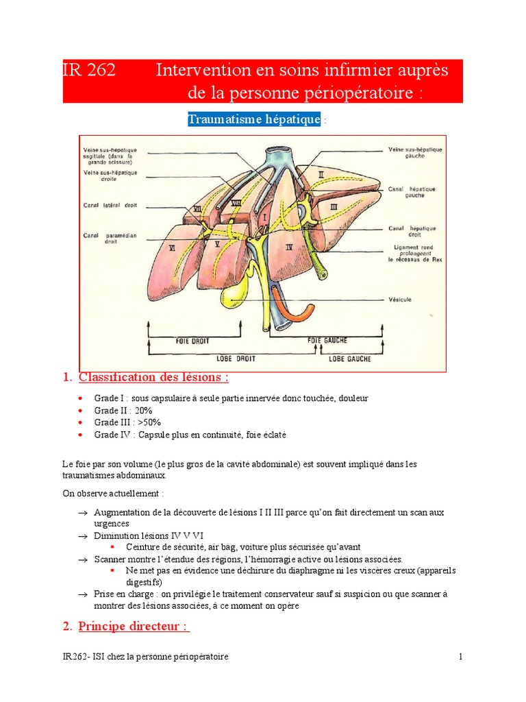 prise-en-charge-des-traumatismes-h-patiques-pdf-saignement-foie