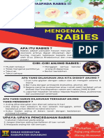 Xbanner Rabies PDF