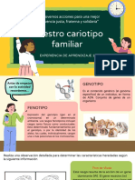 Actividad Cariotipo Familiar PDF
