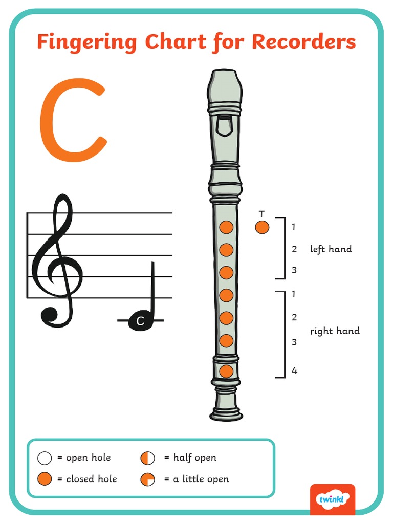 RECORDER PDF Hand Anatomy