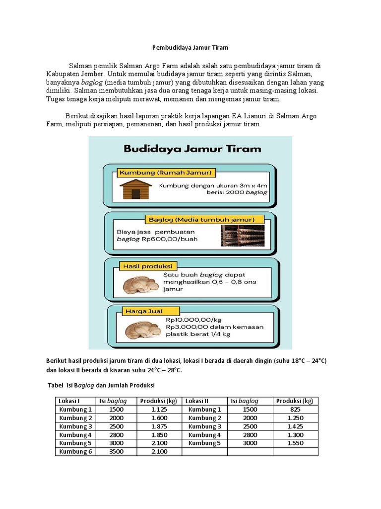 Pembudidaya Jamur Tiram PDF