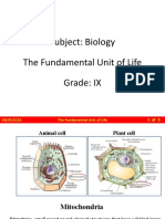 CB - IX - Bio - 5.5 - The Fundamental Unit of Life Cell Structure