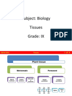 CB IX Bio 6.1 Tissues