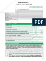 Formular Raport Progres Raportare 2