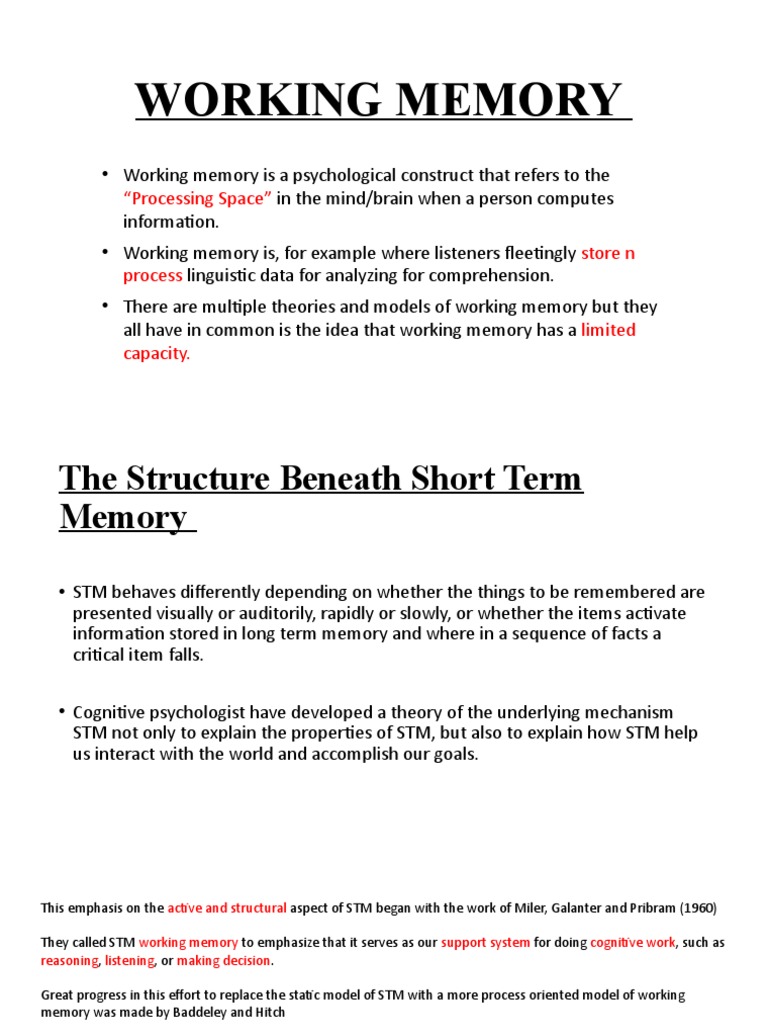 Understanding Working Memory Concepts | PDF | Working Memory | Memory