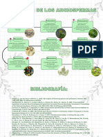 Línea Del Tiempo de Angiospermas