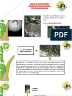 Informe Proyecto Final, Ecologia Animal 2022-1