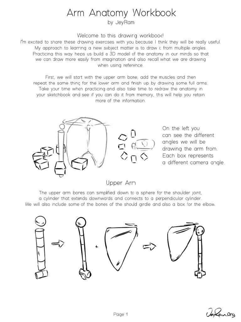 Arm Anatomy Workbook - JeyRam PDF | PDF