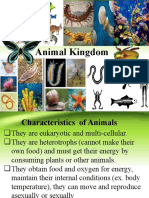 Lesson 19 Animal Kingdom
