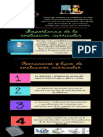 Infografía Curricular PDF