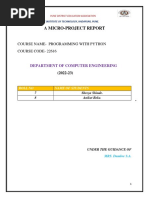 Python microproject.pdf