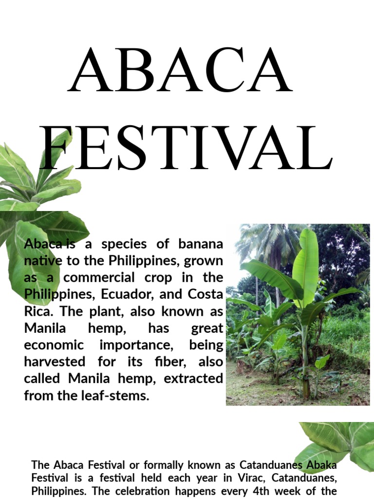 Abaca and Palong Festival PDF