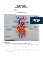 Activity 2 - The Circulatory System
