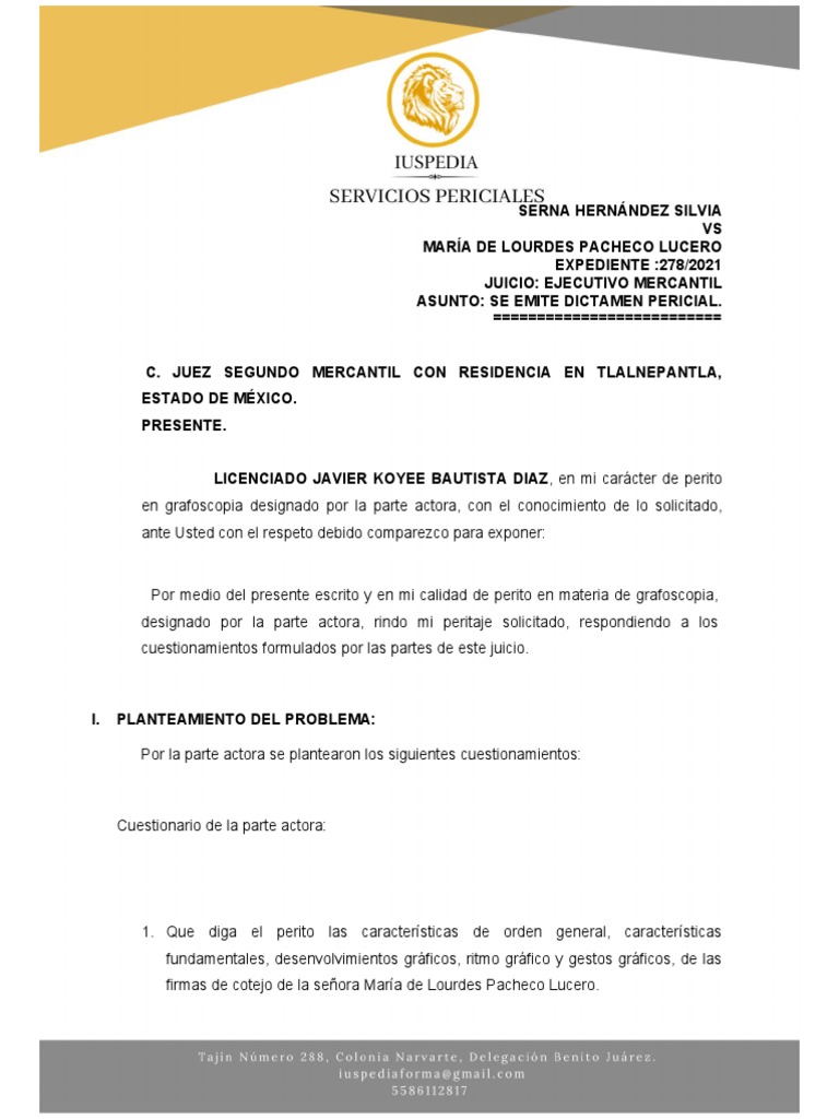 dictamen-grafos-pdf-testigo-experto-escritura