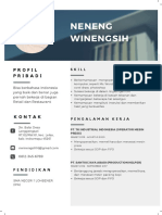 Modern Profesional Resume