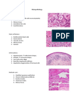 Histopathology PDF