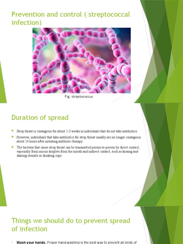 Prevention and control ( streptococcal infection) PDF Infection