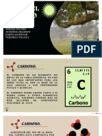 Ciclo Del Carbono PDF