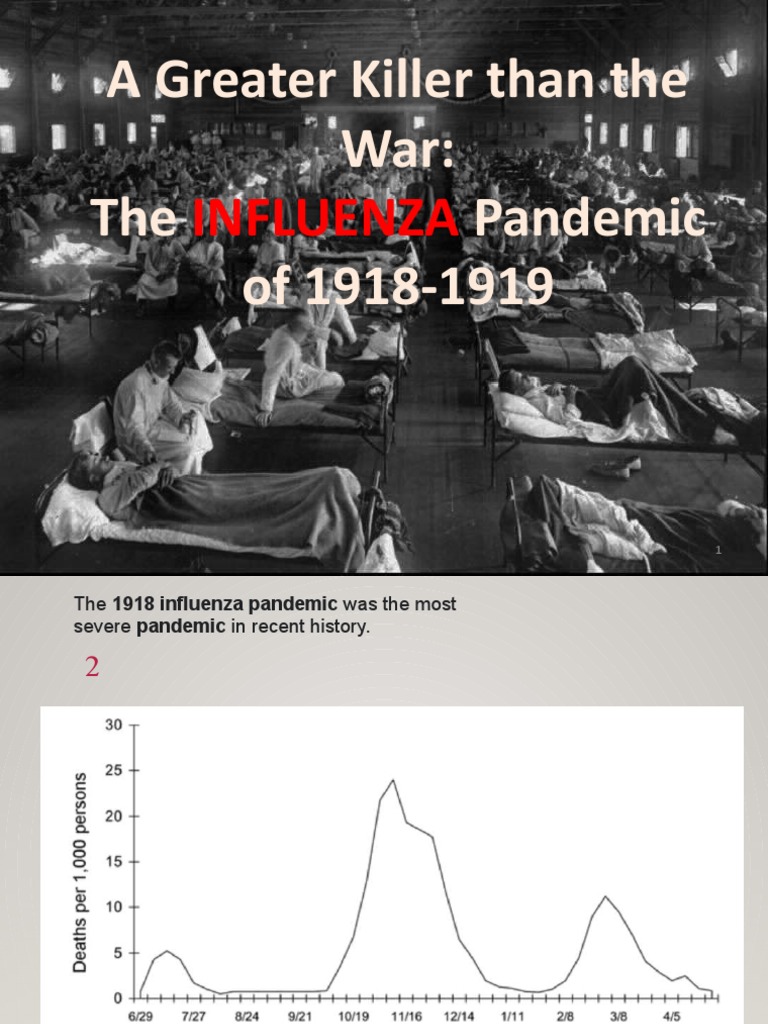 Intro Spain.flu 2 PDF