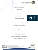 INFORME PROTOZOOS Emiro Arteta, Marinel Vargas Grupo 16B