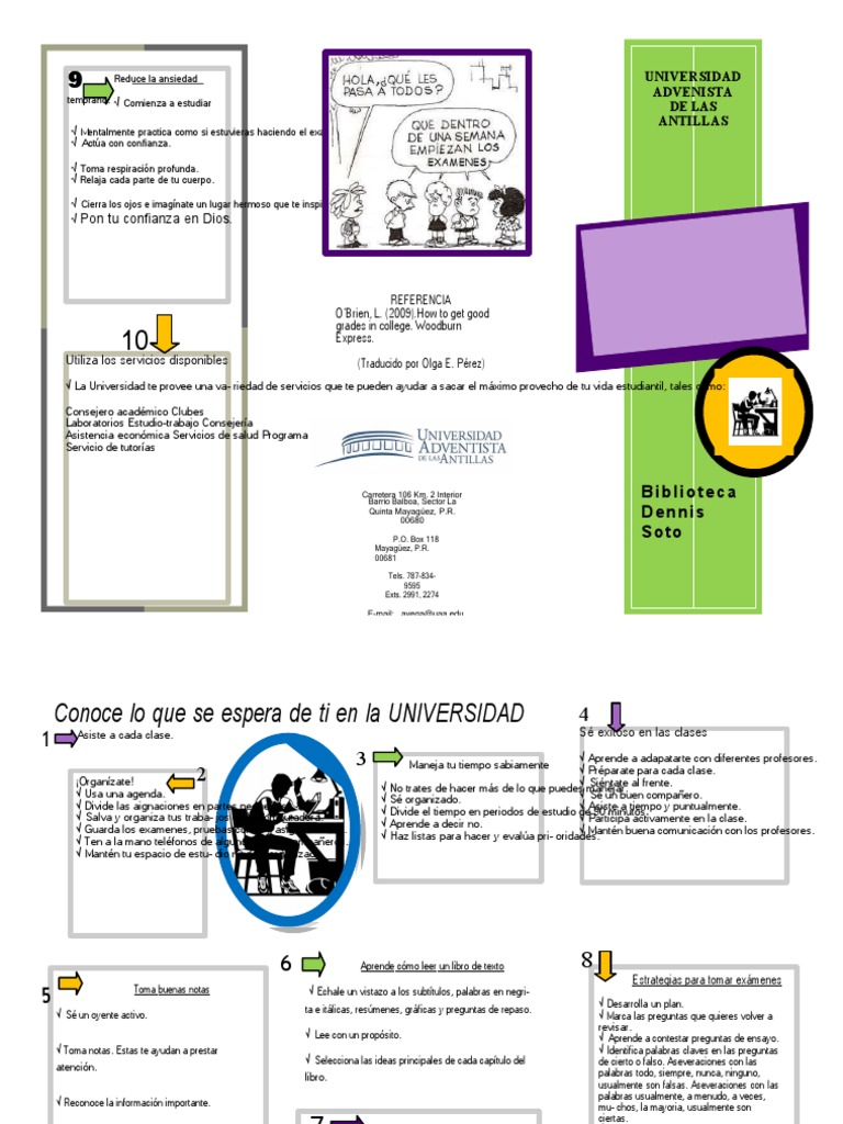 Estrategias para el Éxito Universitario | PDF