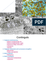 Els Orgànuls Cel Lulars (15-16)