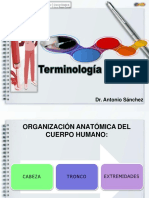 Organización anatómica del cuerpo humano en