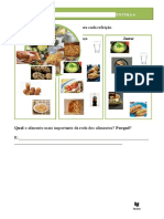 Refeições Roda Dos Alimentos