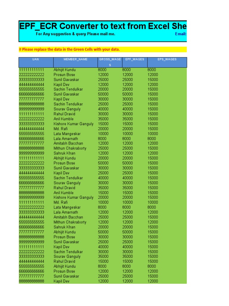 EPF Data Input Template | PDF | Cricket Competitions | Summer Sports
