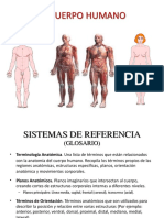 Anatomía Humana: Guía Completa de Términos y Conceptos Anatómicos