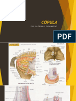 Cópula PDF