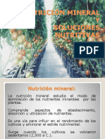 02 Nutrición Mineral y Solución Nutritiva FSC