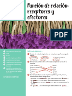 Recept Efect PDF