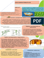 Infografias Botanica