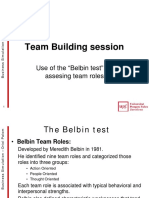 Additional Material For Team Building Project Guidelines