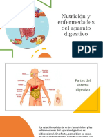 Diapositivas de Sistema Digestivo