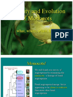 25MonocotOrigin PDF