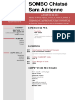 CV Sara PDF