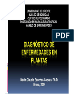 DIAGNÓSTICO DE ENFERMEDADES EN PLANTAS 1