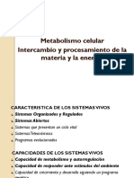 Clase Teorica 6 Metabolismo Fotosintesis
