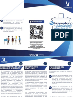 Trifoliar Observatorio y Voluntariado Electoral PDF