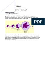 Terceira aula de fisiologia - Plaquetas, hemostasia e coagulação