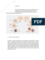 Mitosis, meiosis, tipos de energía y reacciones químicas