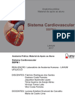 Sistema Cardiovascular Final 16-04-18568