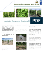Newsletter 2-Changements Climatiques Et Agriculture en Haiti
