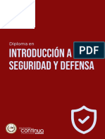 Diploma en Introducción A La Seguridad y Defensa PDF