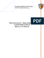 Protocolos y Reglamentos Complementarios PDF
